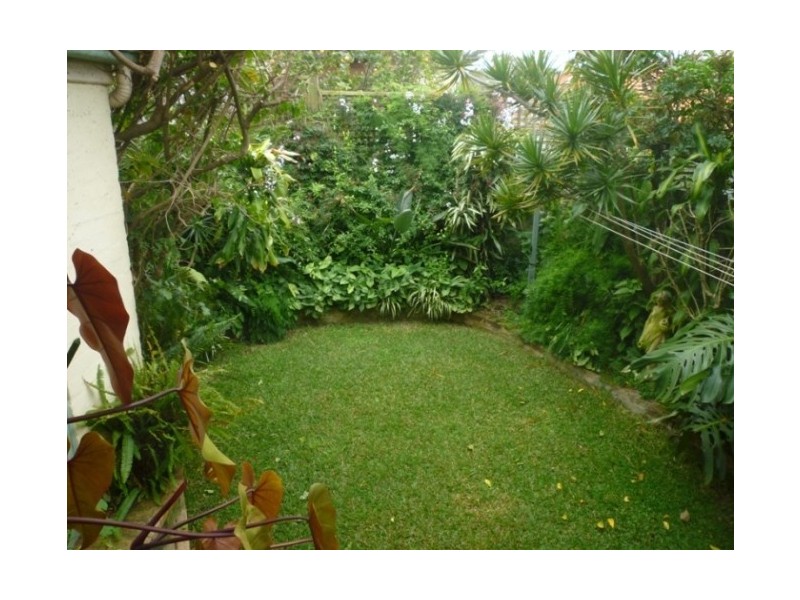 23 Malabar Road, Coogee NSW 2034