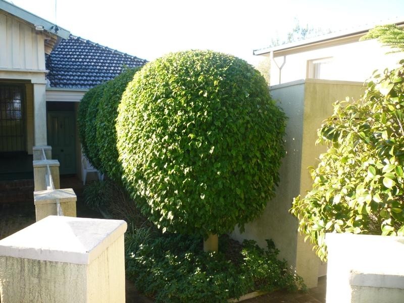 23 Malabar Road, Coogee NSW 2034