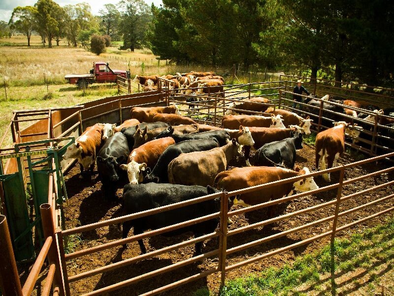 5  Evergreen Road, Orange NSW 2800