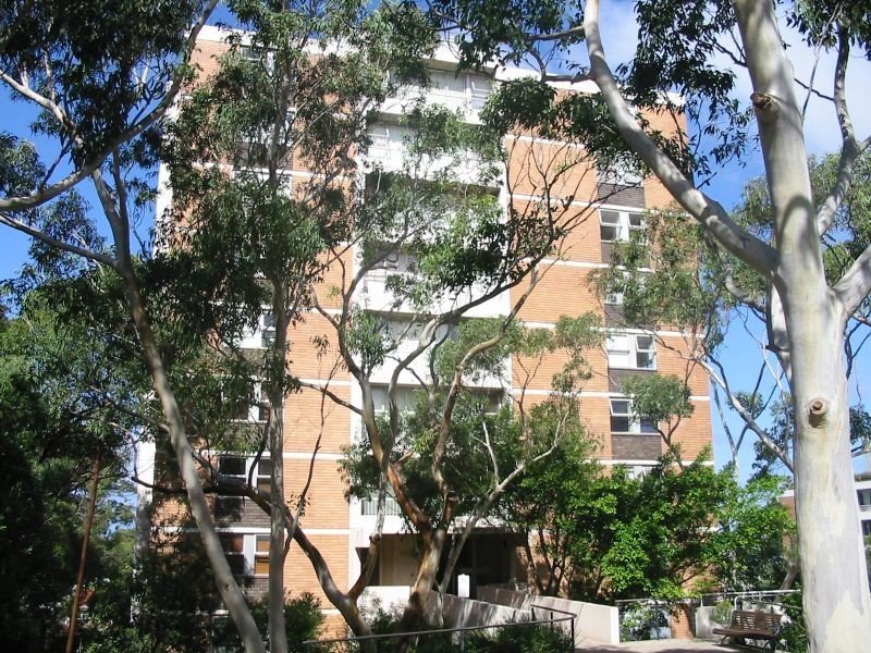 67 St Marks Road, Randwick NSW 2031