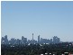 8/5  The Avenue, Randwick NSW 2031