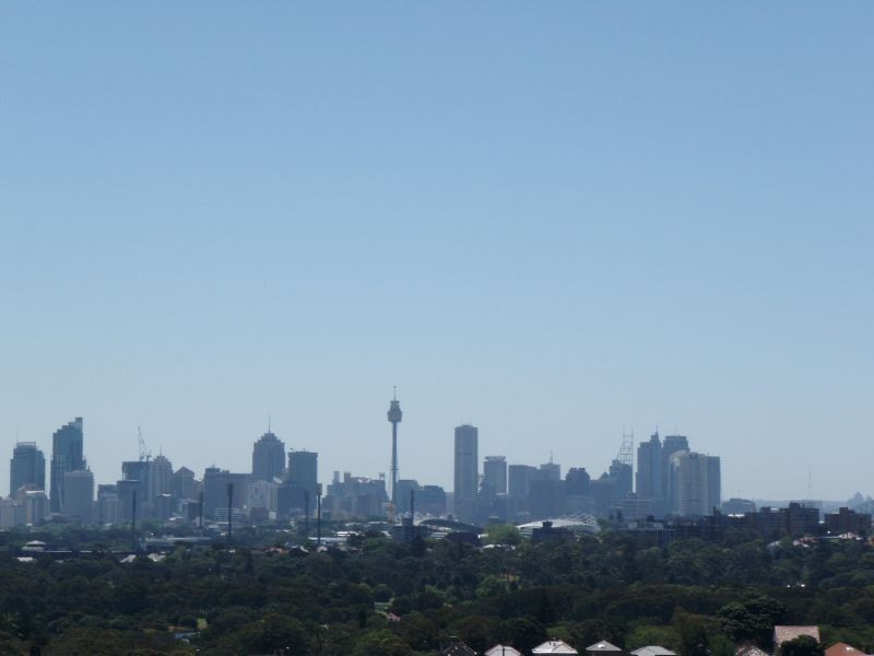 8/5  The Avenue, Randwick NSW 2031