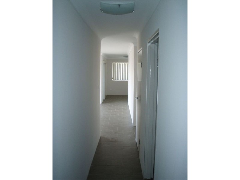 8/5  The Avenue, Randwick NSW 2031