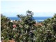 67 St Marks Road, Randwick NSW 2031