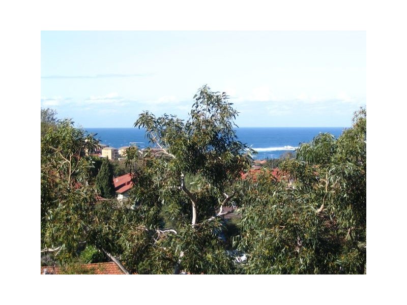 67 St Marks Road, Randwick NSW 2031