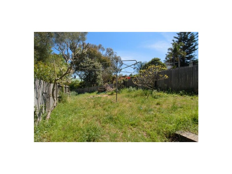 39  Howard Street, Randwick NSW 2031