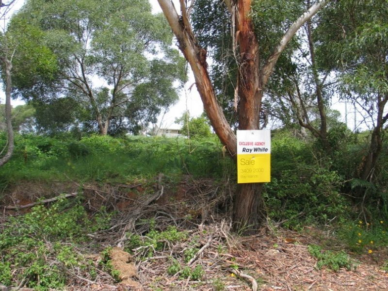 11 Camellia Street, Russell Island QLD 4184