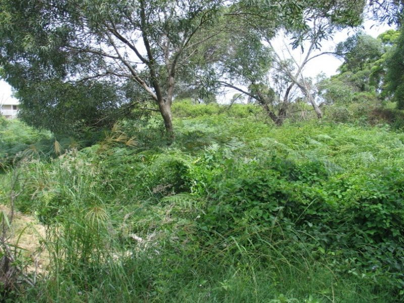 11 Camellia Street, Russell Island QLD 4184