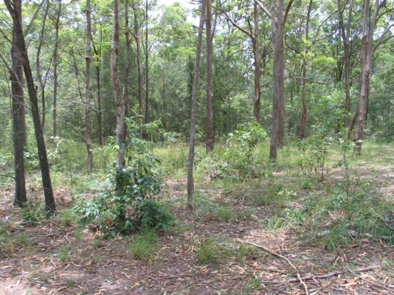 50 Bradman, Russell Island QLD 4184