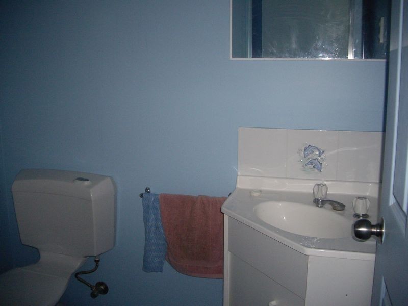 10 Panaroo Street, Macleay Island QLD 4184