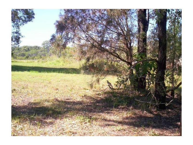 31 Carissa Street, Russell Island QLD 4184