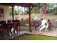 4 Lowther Street, Russell Island QLD 4184