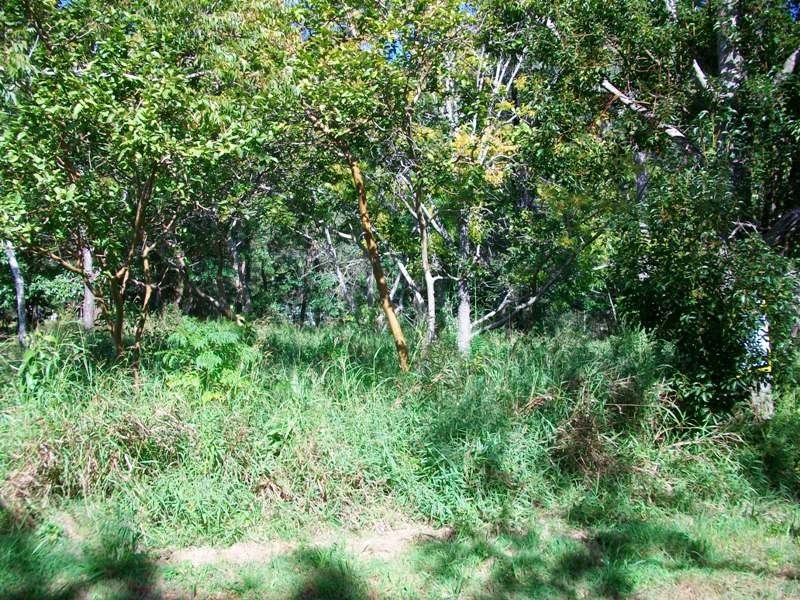 10 Roebuck Rd, Russell Island QLD 4184