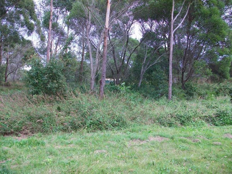 16 Tierney Tce, Russell Island QLD 4184