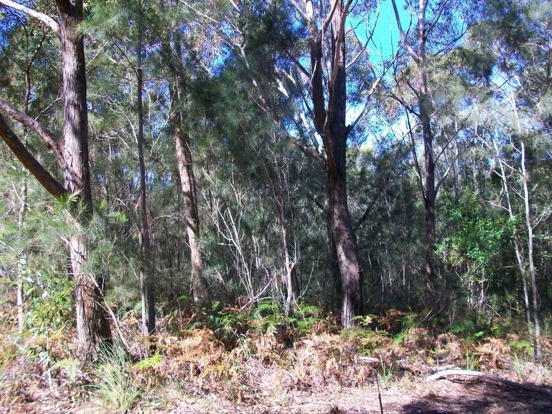 9 Castle Wood Crescent, Russell Island QLD 4184