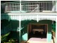 2 Bradman Street, Russell Island QLD 4184