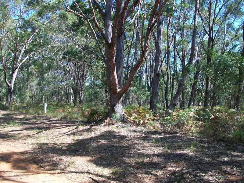 8 Glenfield Ave, Russell Island QLD 4184