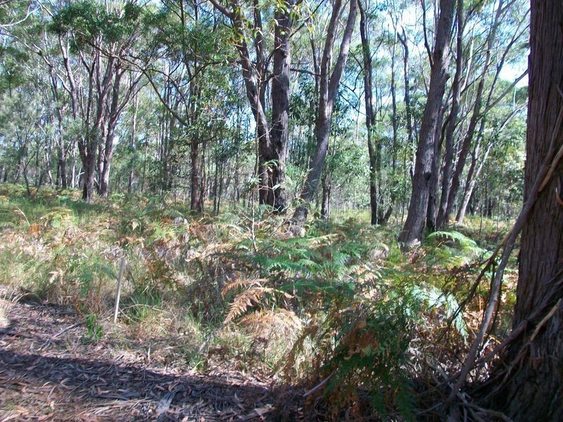 8 Glenfield Ave, Russell Island QLD 4184