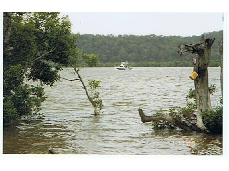 48 Canaipa Pt Dr, Russell Island QLD 4184