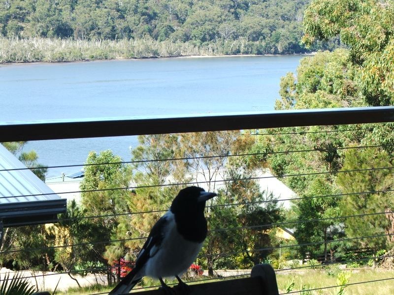 91 Highland Ridge Road, Russell Island QLD 4184