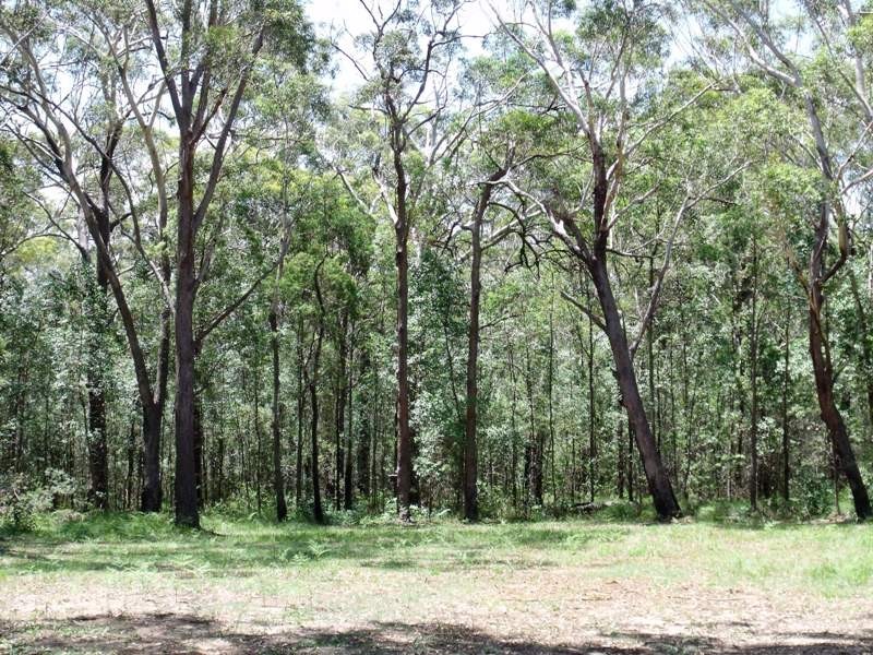 23 Azalea St, Russell Island QLD 4184