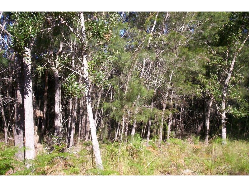 14 Loftus Cres, Russell Island QLD 4184