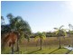 10 Coco Palms Dr, Russell Island QLD 4184