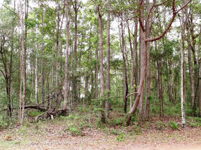 54 Cook Ave, Russell Island QLD 4184