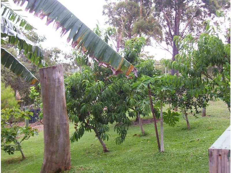 19 OrmeDrive, Russell Island QLD 4184