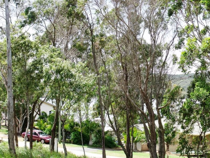 72 Wahine Dr, Russell Island QLD 4184