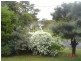 12 Bayview Road, Russell Island QLD 4184