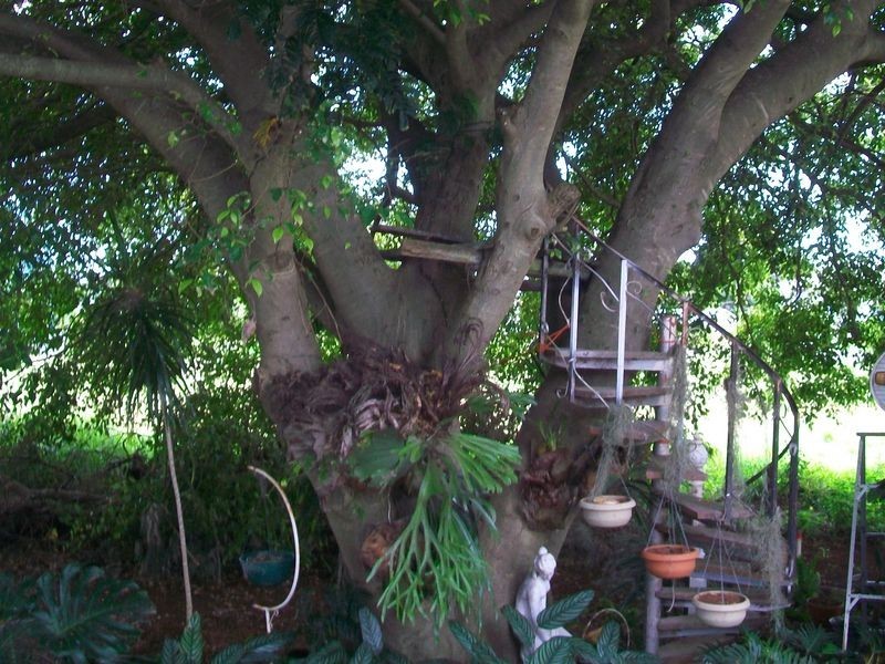 5 Highland Street, Russell Island QLD 4184