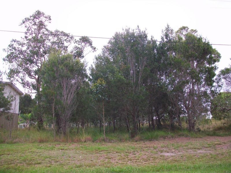 77 Minjerriba Rd, Russell Island QLD 4184