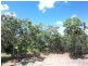 6 James Street, Russell Island QLD 4184