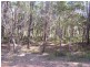 16 Castle Wood Crescent, Russell Island QLD 4184