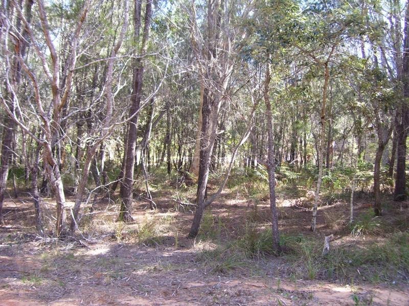 16 Castle Wood Crescent, Russell Island QLD 4184
