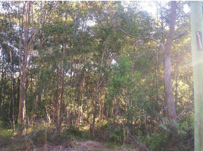 1 Ash St, Russell Island QLD 4184