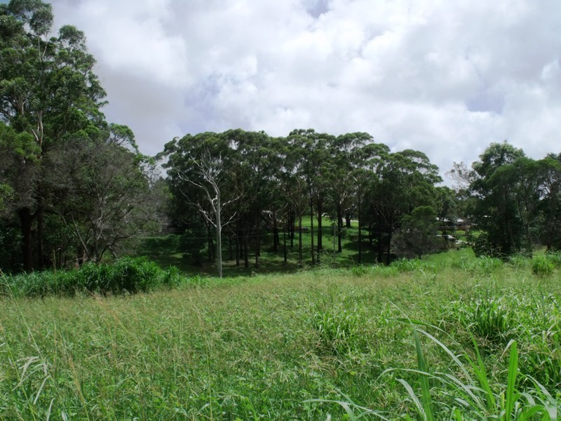 17 Mountain View Cres, Russell Island QLD 4184