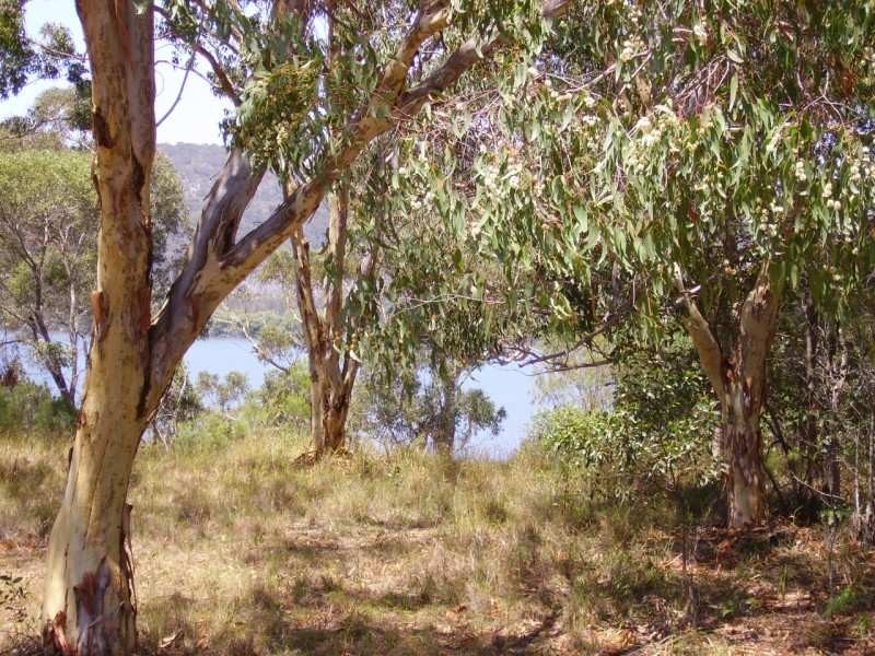 13 Double Island Outlook, Russell Island QLD 4184