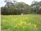 Lot 332, 84 Kurrajong Road, Russell Island QLD 4184