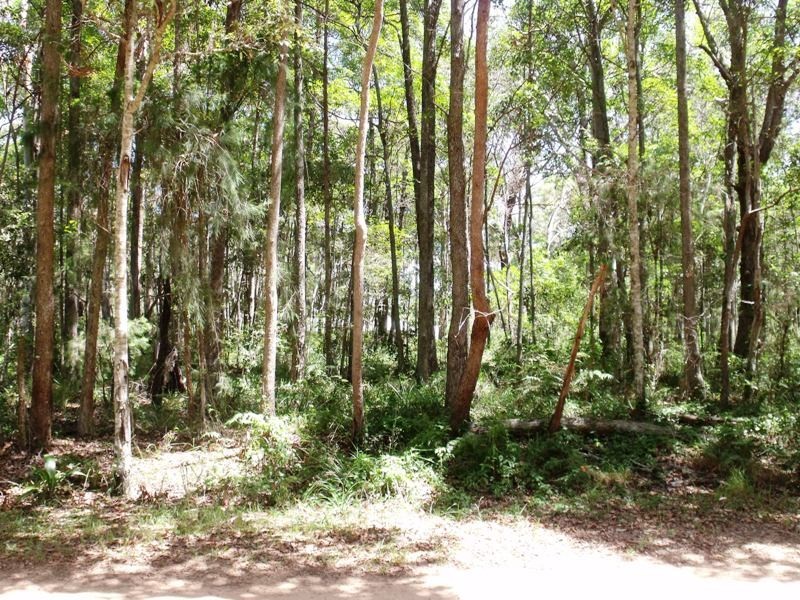 52 Cook Avenue, Russell Island QLD 4184