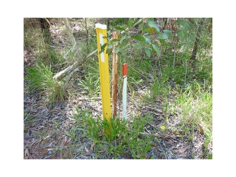 41 Karangi Drive, Russell Island QLD 4184