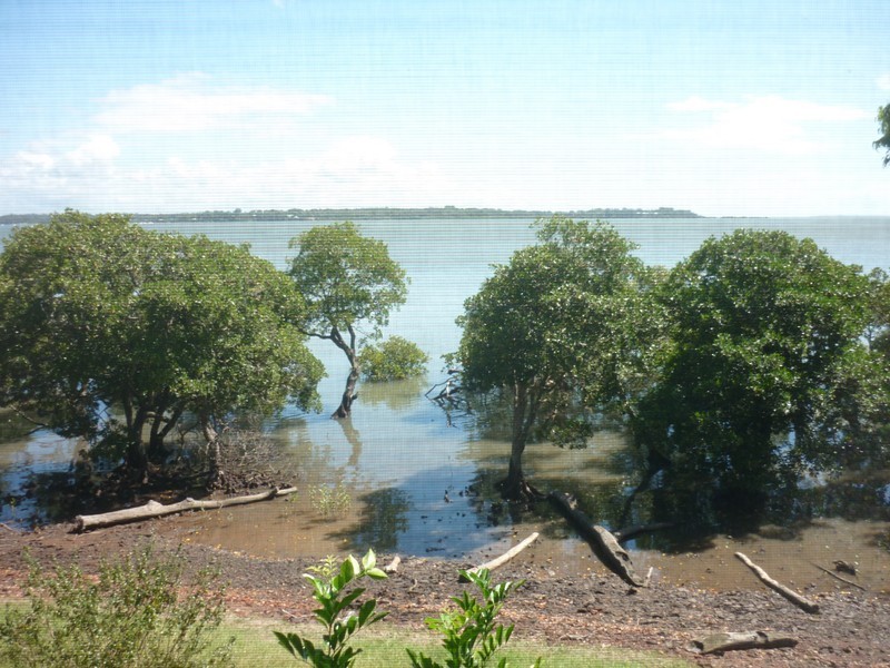 59 Canaipa Point Drive, Russell Island QLD 4184