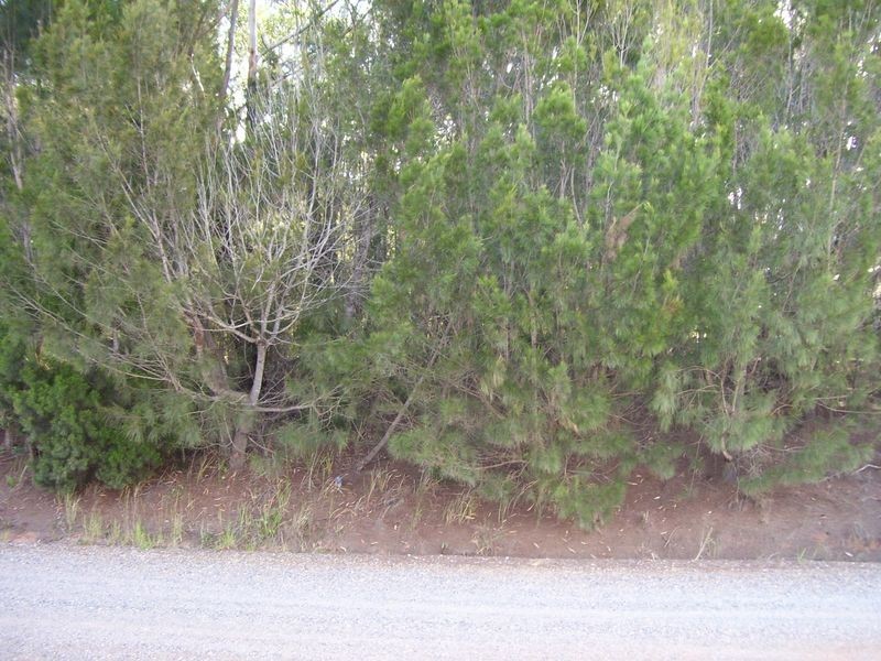50 Highland Ridge Rd, Russell Island QLD 4184