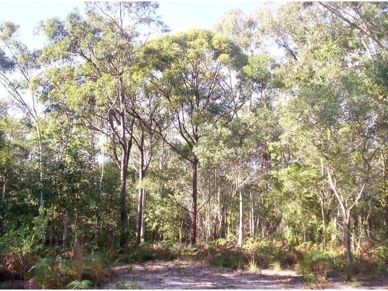 20 Villawood St, Russell Island QLD 4184