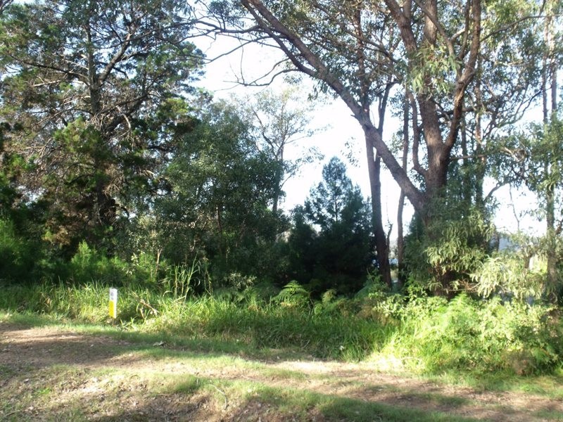 29 Yacht St, Russell Island QLD 4184