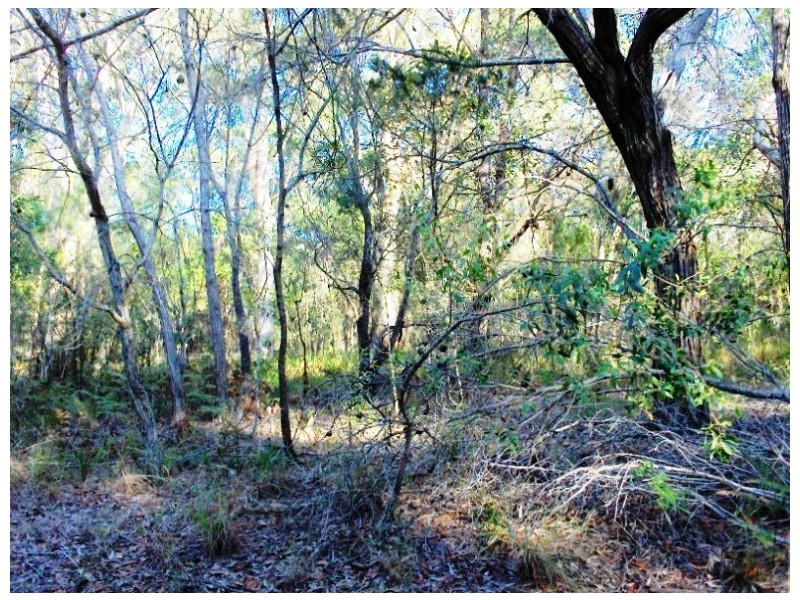 Lot 79, 10 Calwood, Russell Island QLD 4184