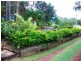 19 Orme Drive, Russell Island QLD 4184