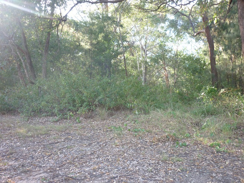 42 Villa Wood Road, Russell Island QLD 4184