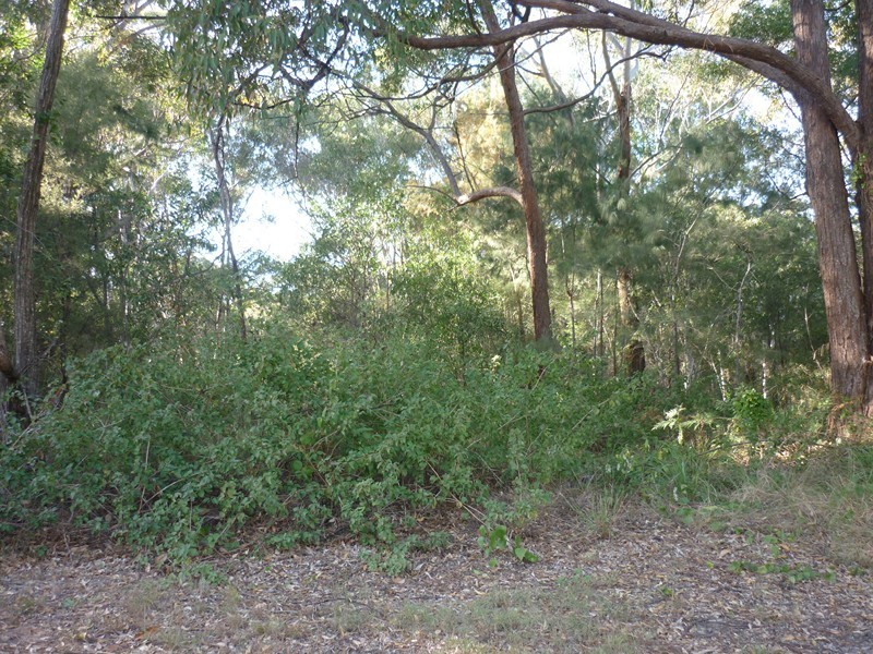 42 Villa Wood Road, Russell Island QLD 4184